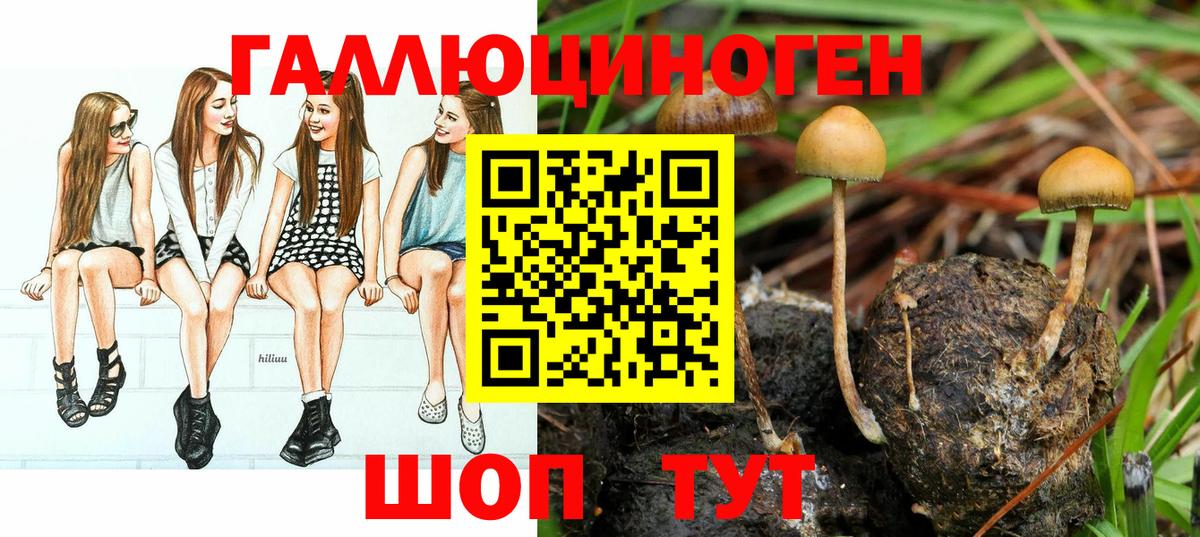 Кропоткин  Галлюциногенные грибы мухоморы  Псилоцибиновые грибы Cubensis  Вход с VPN 
